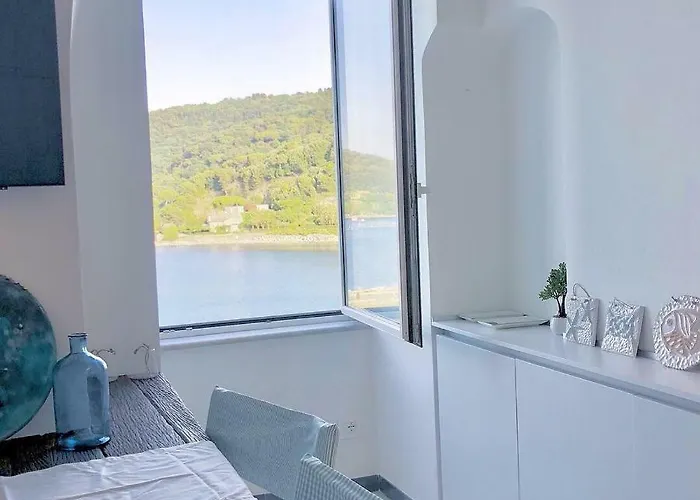 Vongola Διαμέρισμα