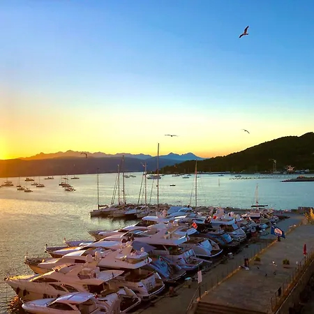 Vongola Porto Venere