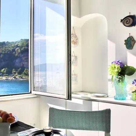 Vongola Apartament *
